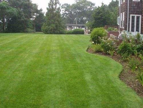 Vers aangelegd gazon met strak gemaaid gras