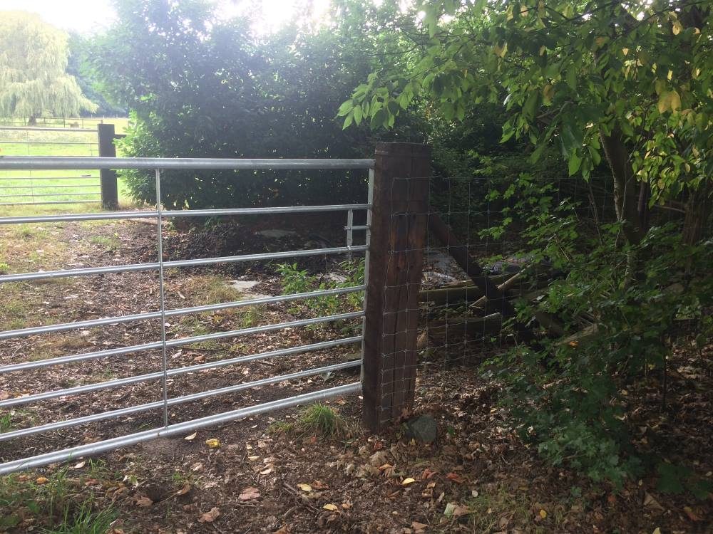 Metalen tuinpoort als toegang tot een oprit