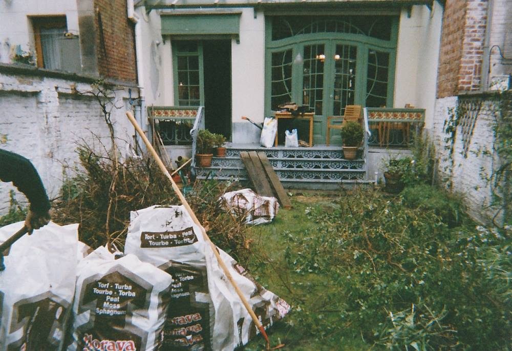 Verwilderde tuin vóór een grondige tuinrenovatie